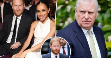 Prince Harry responds to claims he had bloody brawl with Prince Andrew over Meghan Markle remarks