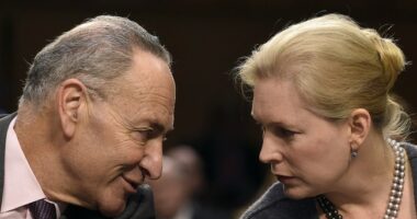 Protesters Arrested at Offices for Sens. Schumer and Gillibrand