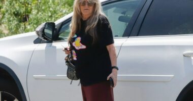 Star of hit 70s TV show looks very different as she makes rare appearance – can you tell who it is?