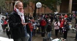 A pro-Palestinian rally across the Sydney Harbour Bridge has been authorised by a court with thousands of protesters likely to gather (pictured, protest organiser Josh Lees)
