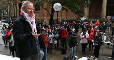 A pro-Palestinian rally across the Sydney Harbour Bridge has been authorised by a court with thousands of protesters likely to gather (pictured, protest organiser Josh Lees)