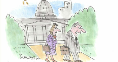 Lunatic Fringe by Harley Schwadron, CagleCartoons.com