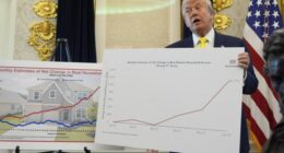 The Experts Bet Against Trump and Lost