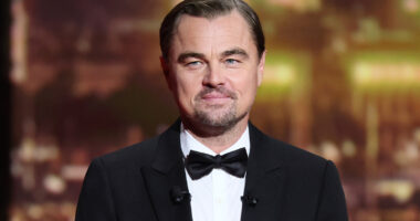 The Only Recap Of Leonardo DiCaprio's Downfall You Need