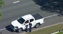 A 33-year-old man and four-year-old boy have died after being hit by a ute on Green Road in Regents Park, about 11.15am on Sunday (pictured)