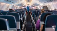 A travel expert has warned holidaymakers to never use a common plane freebie for one particular reason