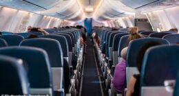 A travel expert has warned holidaymakers to never use a common plane freebie for one particular reason