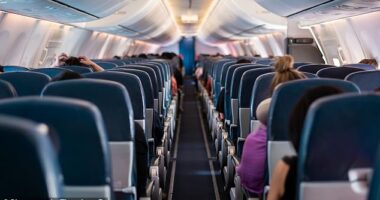 A travel expert has warned holidaymakers to never use a common plane freebie for one particular reason