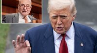 Trump tells Schumer to ‘GO TO HELL’ over Senate nominee deal after negotiations blow up