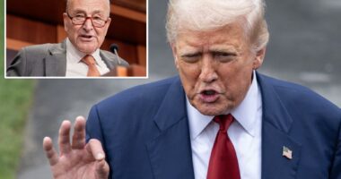 Trump tells Schumer to ‘GO TO HELL’ over Senate nominee deal after negotiations blow up