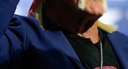 Hulk Hogan