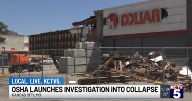 Woman shopping at Family Dollar crushed by collapsing roof, causing 'severe and permanent injuries' to her entire body, lawsuit says