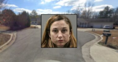 Woman who allegedly beat infant son to death says she doesn't remember a thing after having 'swaddled' and put him to bed: Deputies