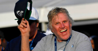 ‘Not an accidental touching’: Gary Busey Pleads Guilty to Sex Crime Connected to Horror Film Convention